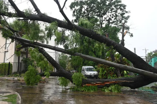 Servicio Meteorológico: cuatro provincias bajo alerta amarilla por vientos