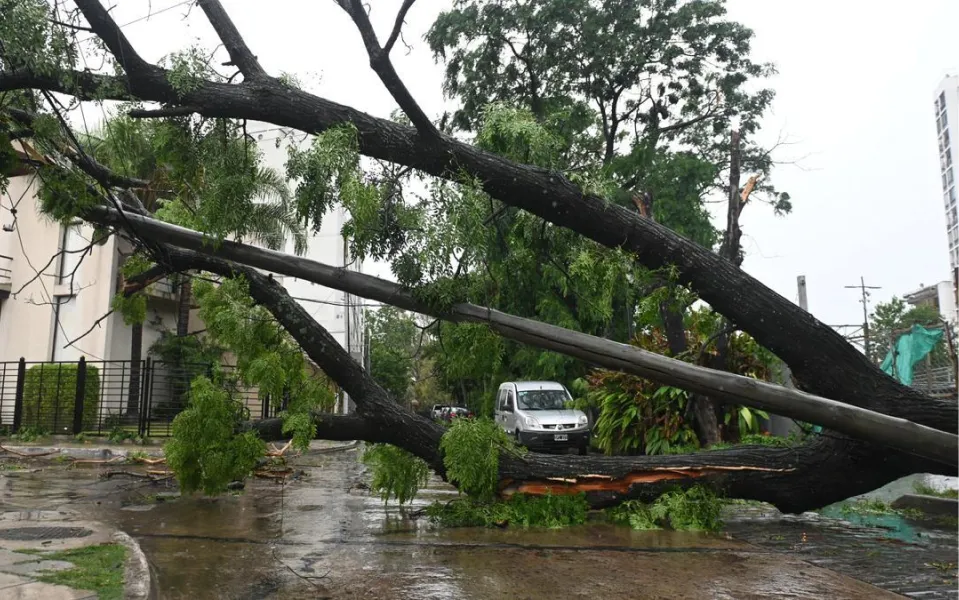 Servicio Meteorológico: cuatro provincias bajo alerta amarilla por vientos