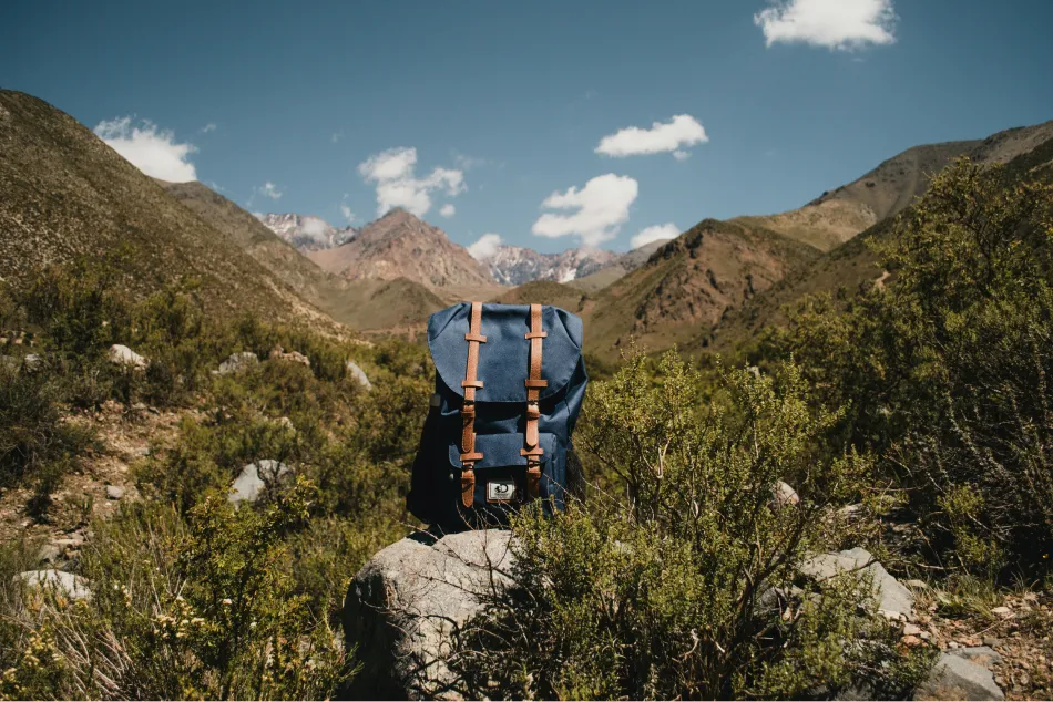 MENDOZA. La provincia cuyana tiene un gran número de virtudes, según la IA. / UNSPLASH