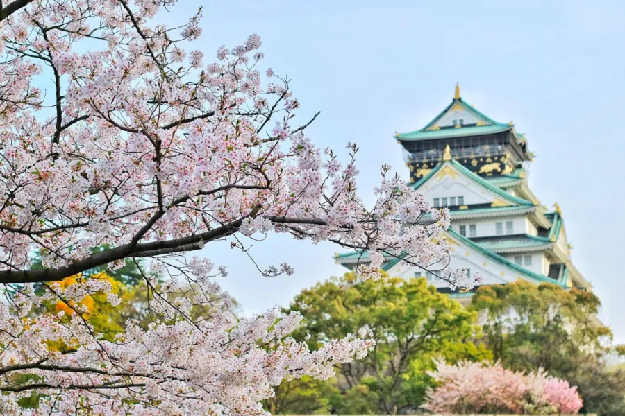 ESTUDIAR EN JAPÓN. Japón es uno de los destinos académicos y culturales más atractivos del mundo. / PEXELS.