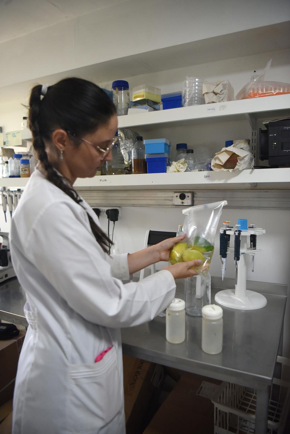 Después de la cosecha, el limón puede protegerse de las infecciones gracias a su propia cáscara