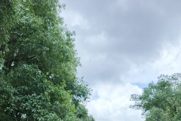 Continúa el corte total en la Ruta Nacional 65 por desborde del río Cochuna