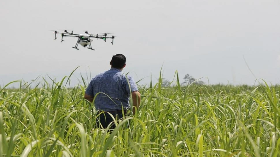 Los aportes del dron a la agricultura