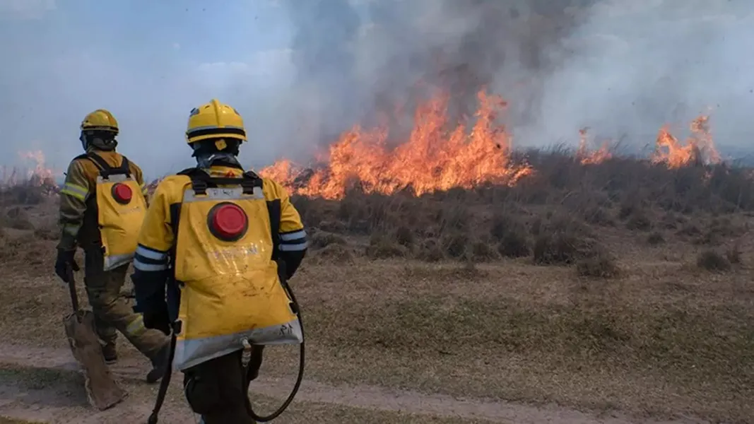 Miles de hectáreas se vieron afectadas tras los incendios en Corrientes.