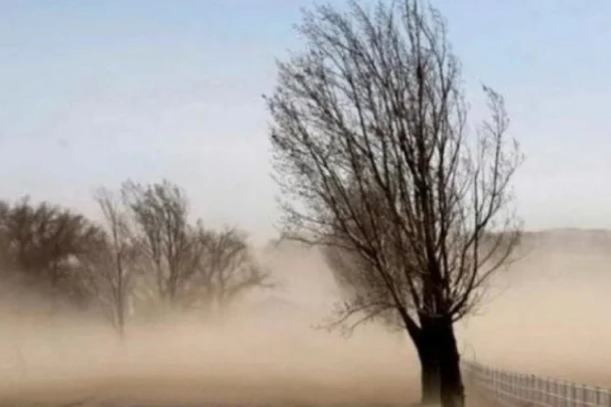 Alerta por calor extremo y vientos en la mayor parte del país.