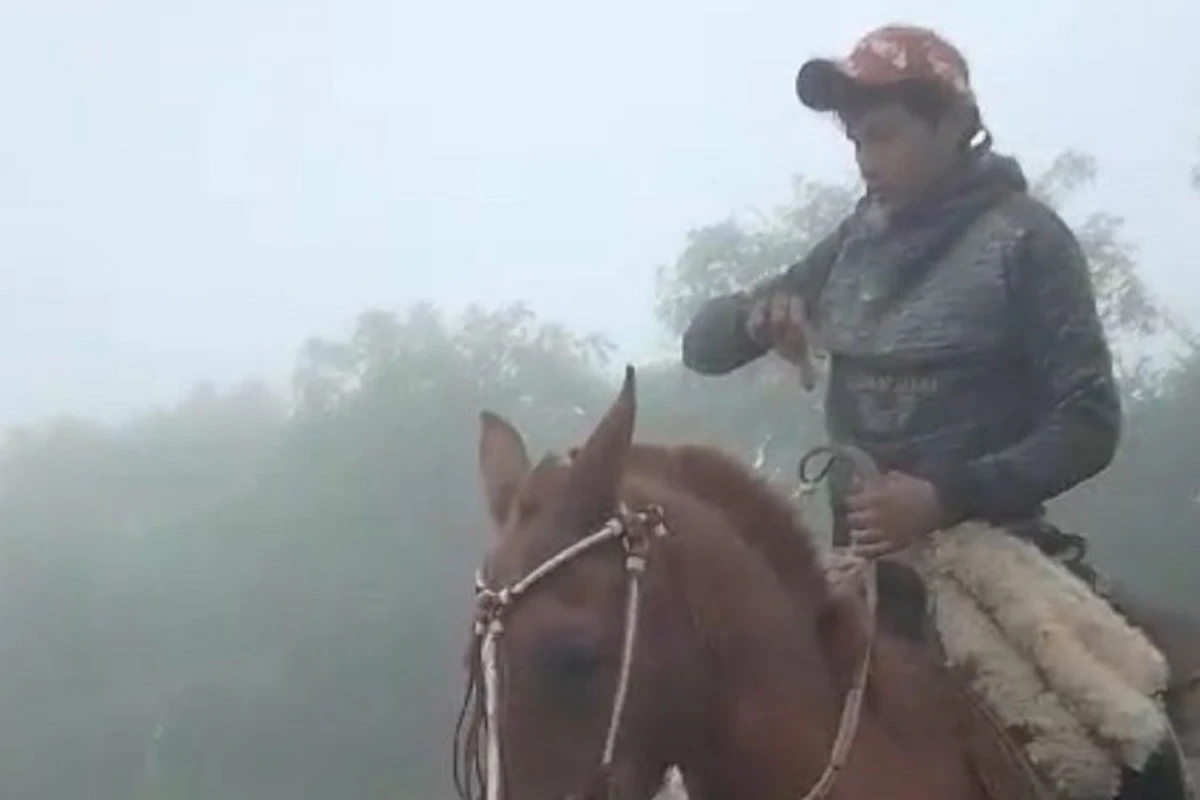 GABRIEL Y PITUFO. El caballito tenía seis años. 