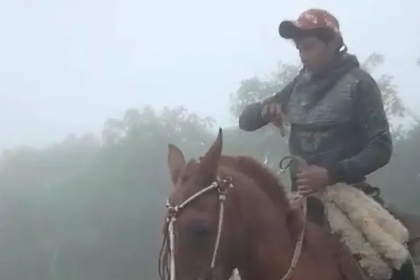 Evacuación en el Río Grande: Pitufo, el caballo de Gabriel, tenía seis años y no sobrevivió