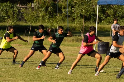 Preguntas y respuestas para evacuar dudas sobre el debut de Tarucas en el Súper Rugby Américas