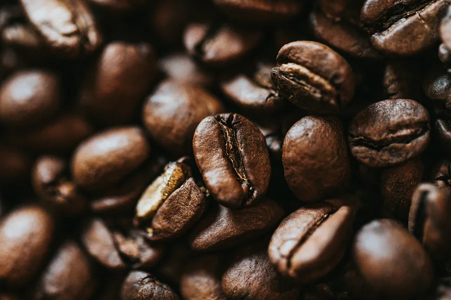 CAFÉ. La idea de hacer este cultivo en Tucumán es antigua, pero nunca prosperó. Ahora hay signos alentadores. / UNSPLASH