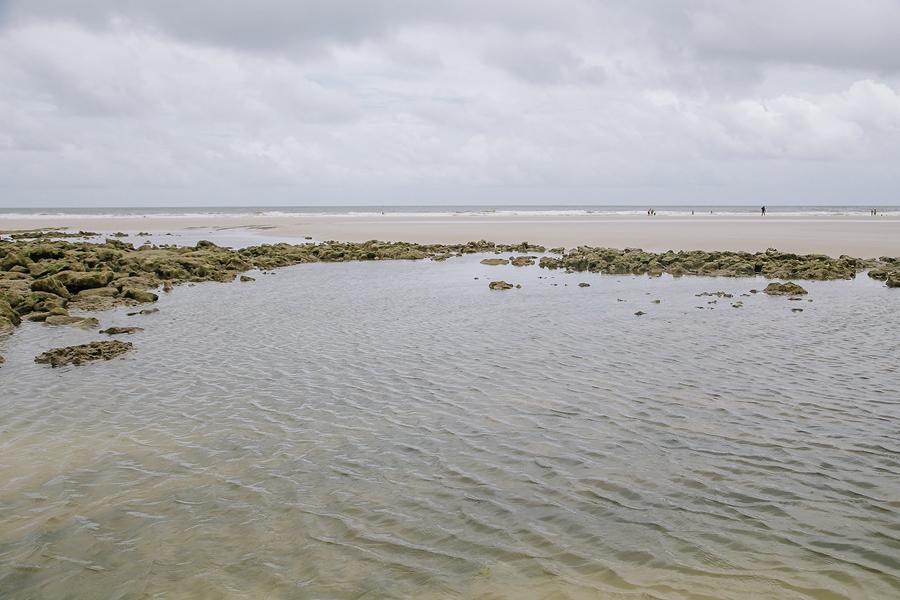 ÁREA PROTEGIDA. La Playa de Atalaia será sede de una reunión de la ONU contra el cambio climático. / BRUNA BRANDO