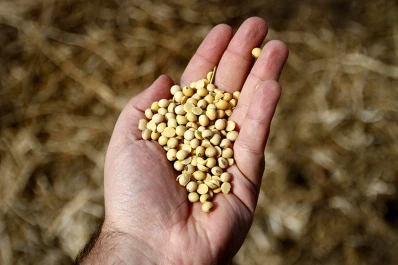 Quitan la obligación del ensayo comparativo de rendimiento