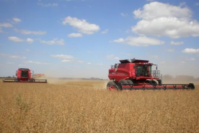 Campaña gruesa: la BCR estima una producción de 47,5 millones de toneladas de soja