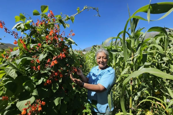 Conocé a Ángela Romano, la guardiana de semillas de Tafí del Valle