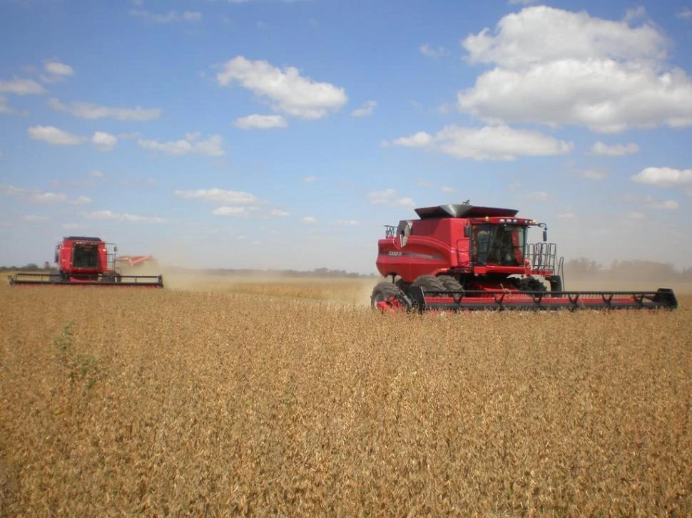 Campaña gruesa: la BCR estima una producción de 47,5 millones de toneladas de soja