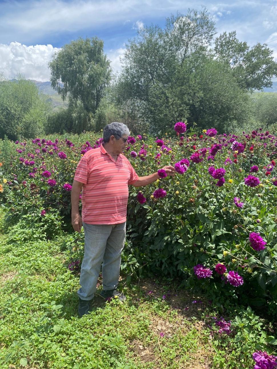 EL LUGAR. Junto a sus flores donde mantiene viva la memoria de su esposa.