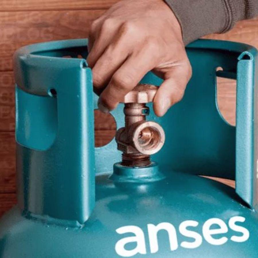 Anses: cuáles son los requisitos para ser titular del Programa Hogar