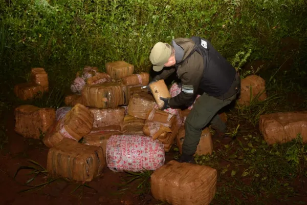 Encontraron más de una tonelada de marihuana a orillas del río Paraná