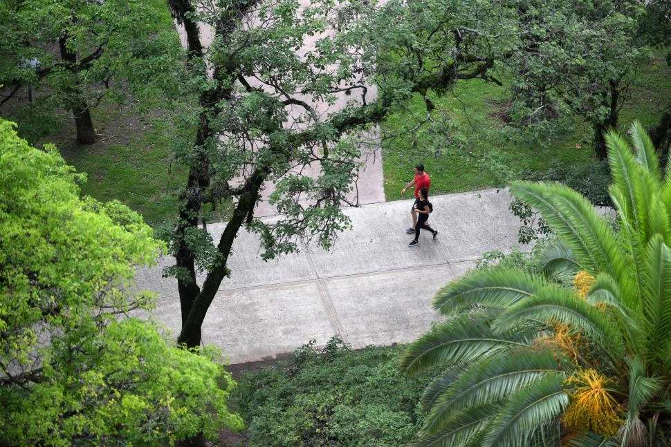 Caminar es uno de los mejores ejercicios para la claridad mental