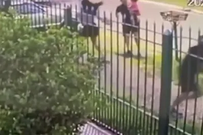 Asaltantes atacaron a puñaladas a una joven que tenía a su bebé en brazos