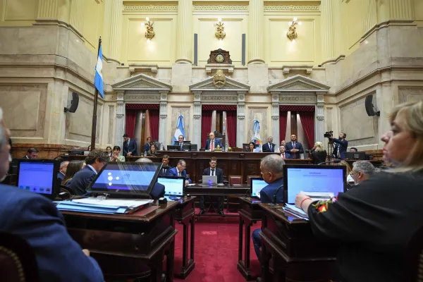 El Senado convirtió en ley la suspensión de las PASO de este año