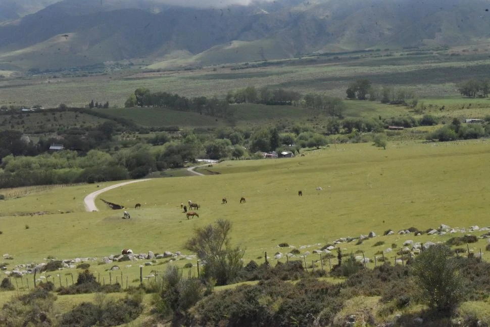 LOTEO LA QUEBRADITA. La Provincia perdió 10 hectáreas “por orfandad de pruebas” en 2017, y hay otras 45 hectáreas de la misma zona que se encuentran bajo amenaza.