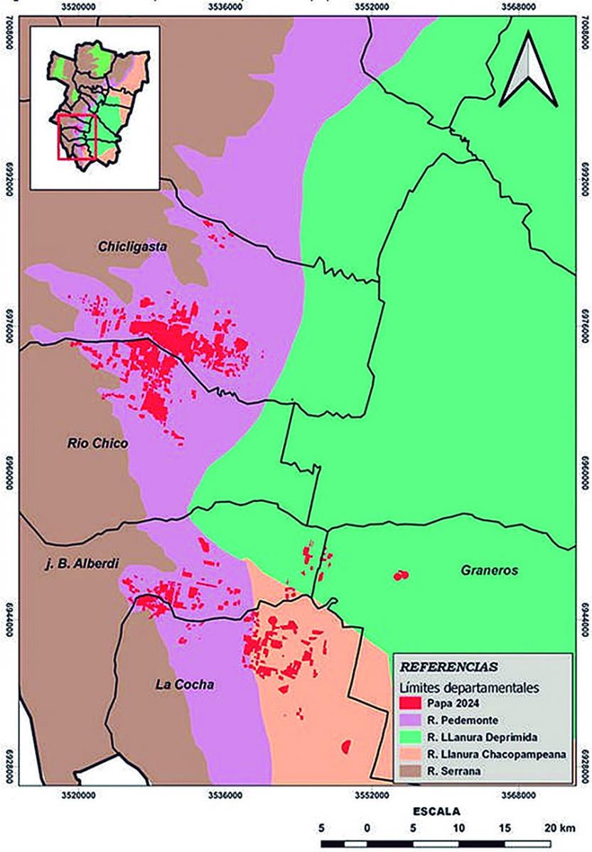 El área sembrada con papa en Tucumán alcanzó su máximo valor en la década, con 9.260 ha