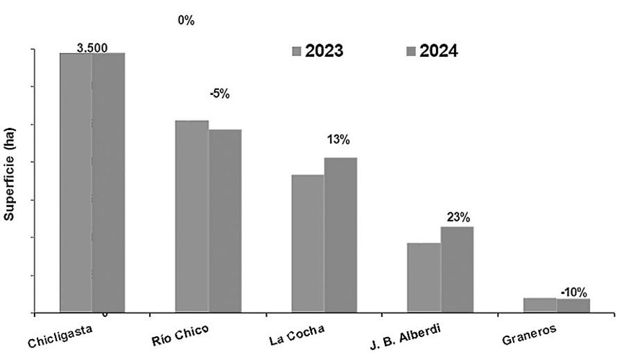 Figura 2: Superficie neta con papa en las campañas 2023 y 2024 y variación porcentual. Fuente: SRYSIG, EEAOC.