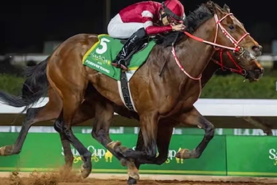 Los caballos argentinos fracasaron en la Saudi Cup