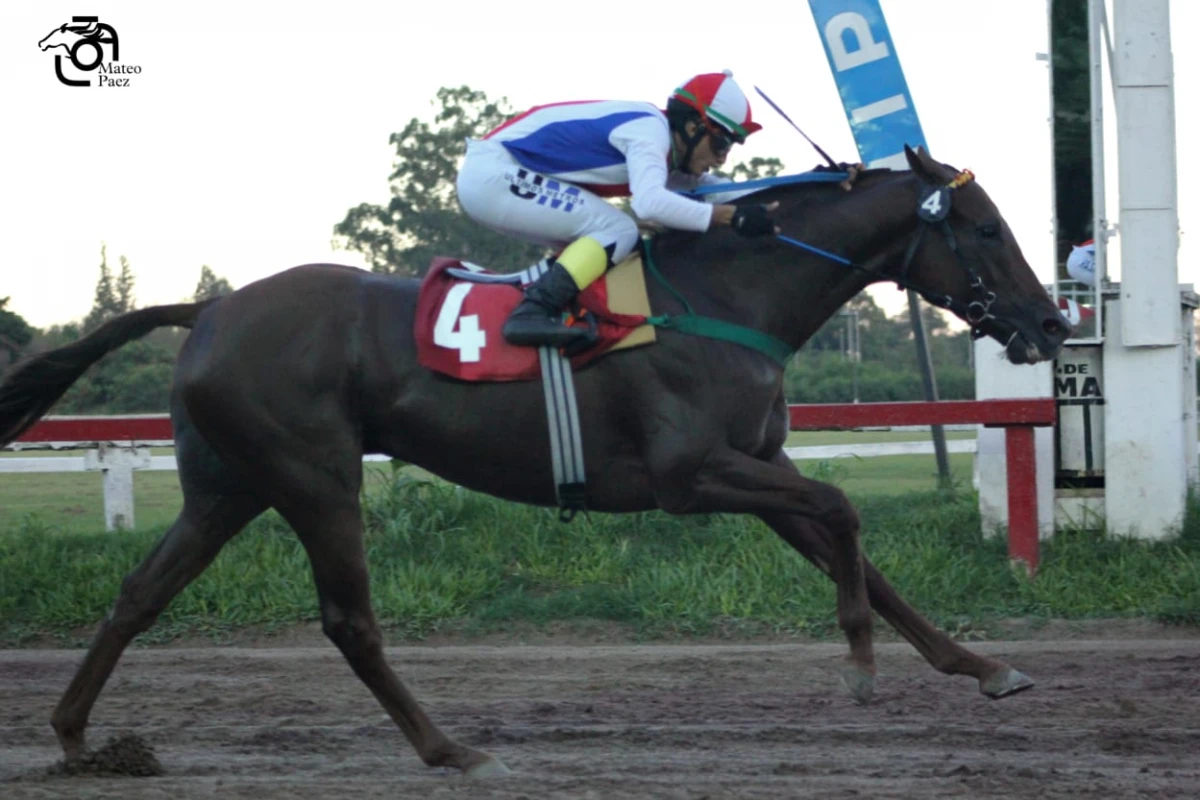 SE HIZO FUERTE EN EL FINAL. He's a Rockstar empezó con fuerza en los últimos 200 metros para ganar el cotejo central.  