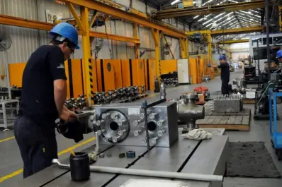 Las ventas minoristas pymes cayeron 9,1% mensual en noviembre, según CAME  .