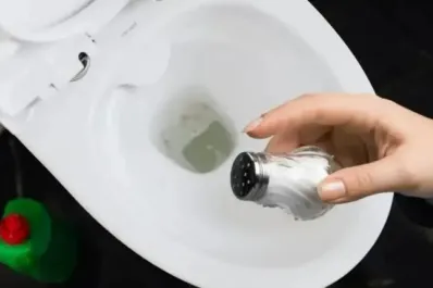 Por qué recomiendan tirar sal en el inodoro por las noches