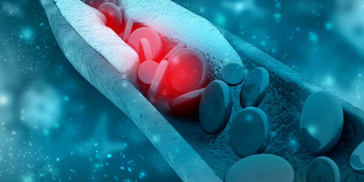 Las novedosas proteínas saludables que bajan el colesterol y ayudan a adelgazar