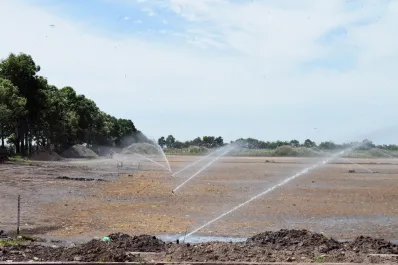 El sueño en marcha: Atlético Tucumán sembró las canchas en San Andrés y cada vez falta menos para la inauguración