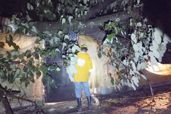 Un tornado provocó daños en viviendas y caídas de árboles en Santa Ana