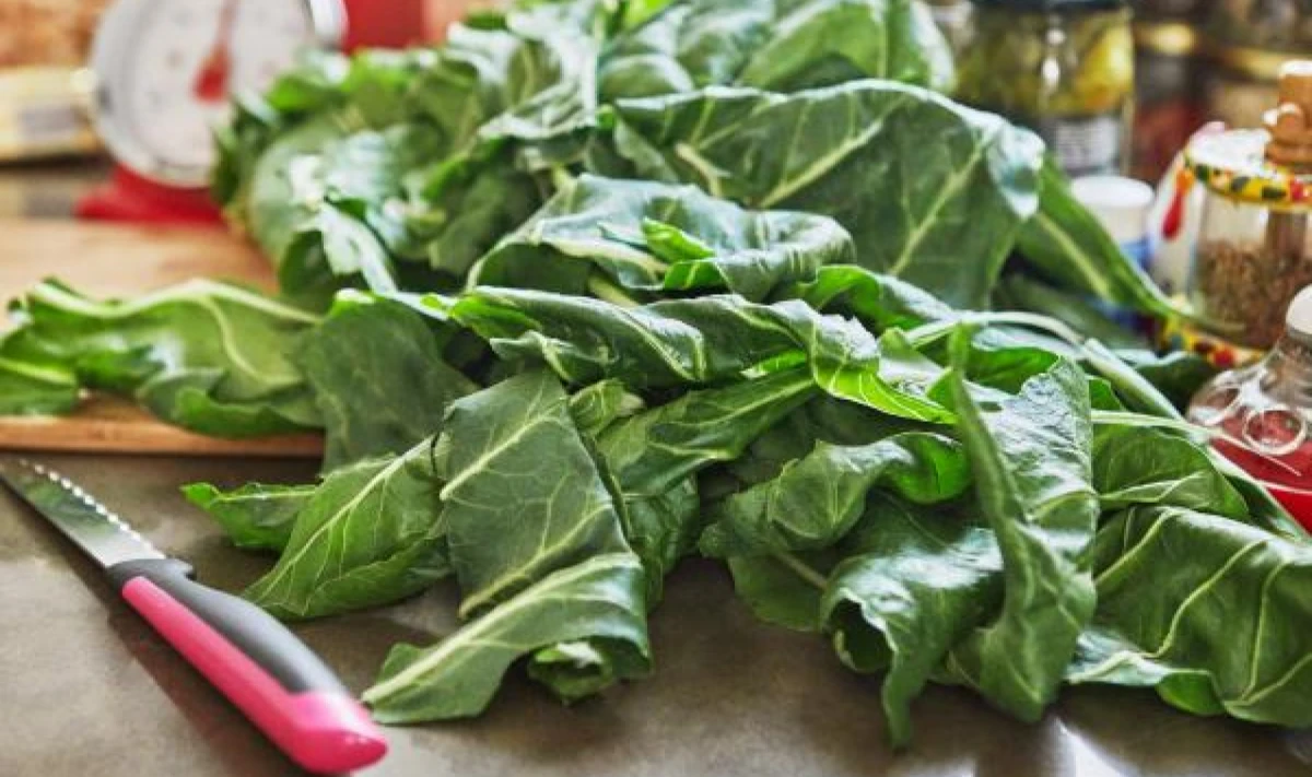 ¿Cómo cocer la acelga para que salga deliciosa?
