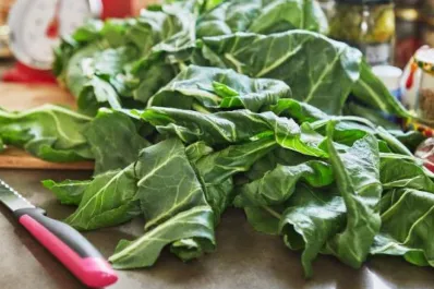 ¿Cómo cocinar la acelga para aprovechar sus beneficios?: el truco para hacerla deliciosa