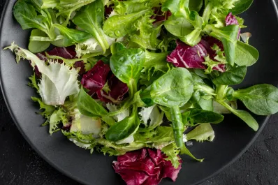 Rúcula, lechuga o col rizada ¿cuál es más saludable para agregar a al ensalada?