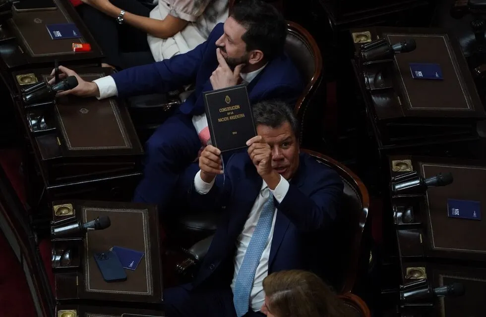 Facundo Manés, en el Congreso. (Clarín)