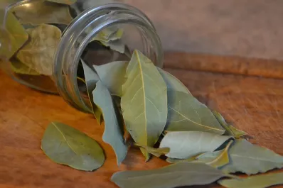 Cómo usar hojas de laurel para potenciar la suerte y la prosperidad, según el Feng Shui
