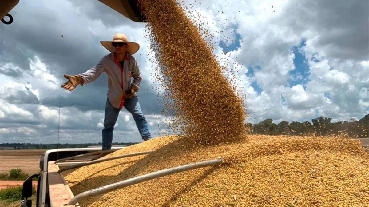 Soja: tras la baja de retenciones, las ventas registraron un aumento del 30%