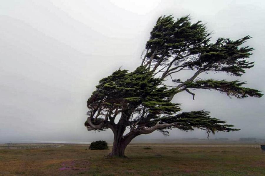 La Patagonia está bajo alerta meteorológica por vientos fuertes y lluvias.