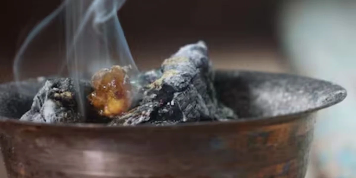 La combinación del laurel con azúcar es un potente abre caminos para la prosperidad y abundancia económica