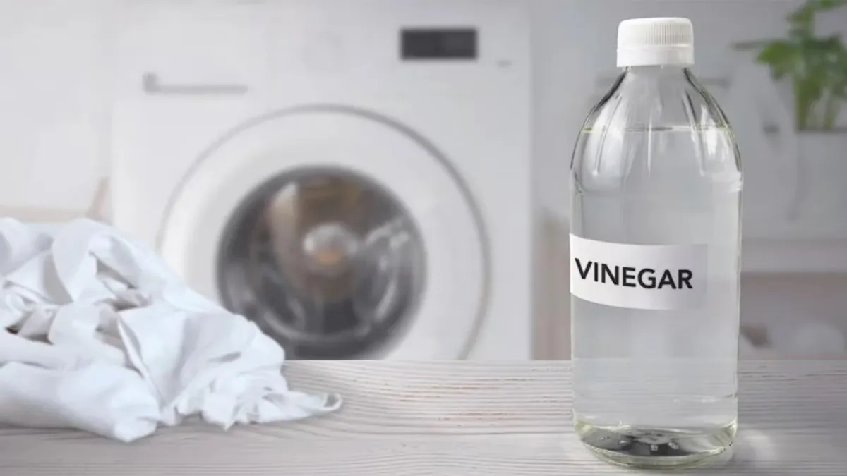 Vinagre en el lavarropas: el truco casero que mejora el lavado y elimina olores