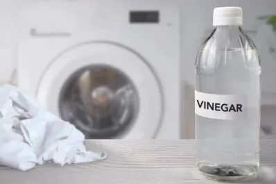 Vinagre en el lavarropas: el truco casero que mejora el lavado y elimina olores