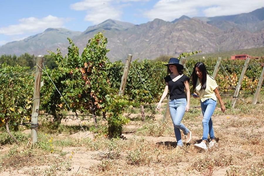 Las bodegas de Colalao del Valle constituyen una de las atracciones de la provincia.