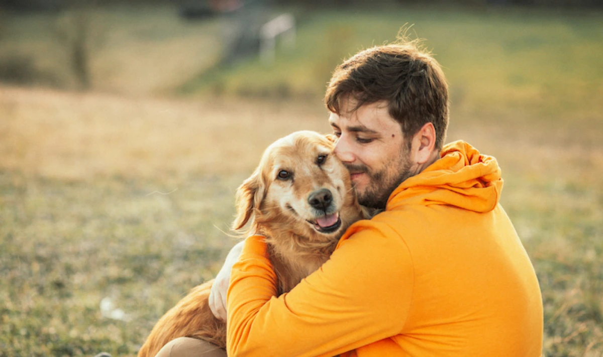 ¿Por qué no debería abrazar a mi perro?