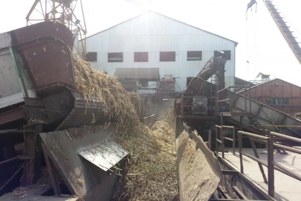 Los ingenios del NOA produjeron más de medio millón de litros de alcohol hidratado