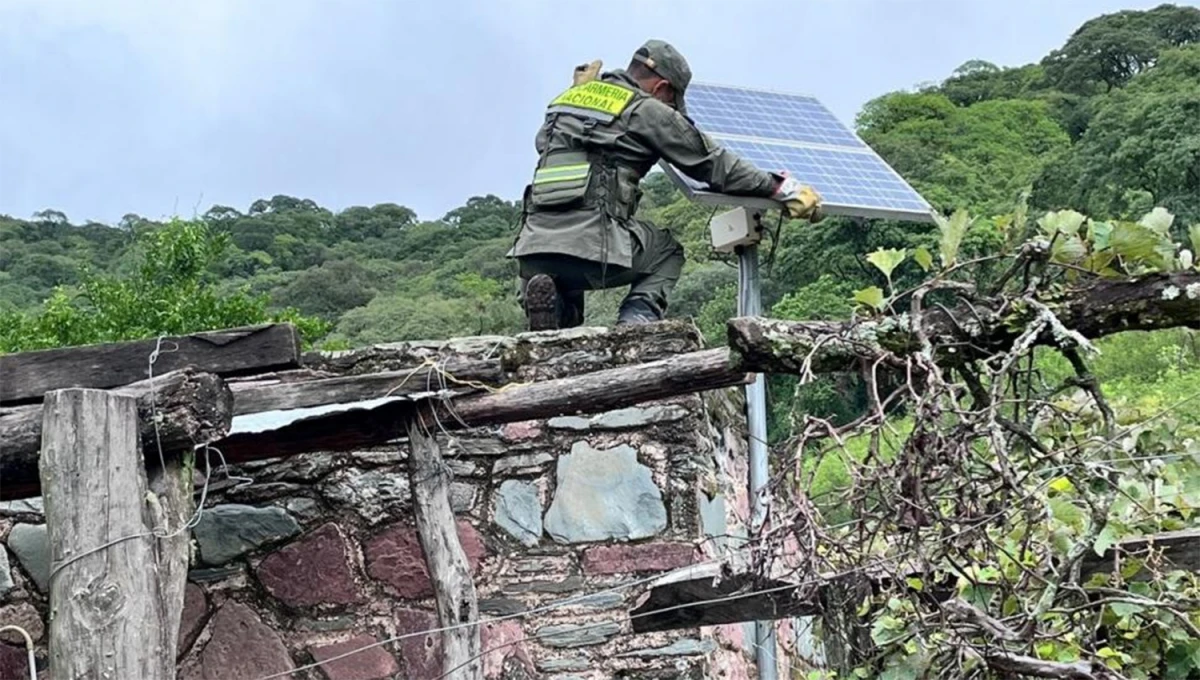 TECNOLOGÍA. En la finca, Gendarmería encontró paneles solares y una casilla equipada, en la que se administraría la plantación.