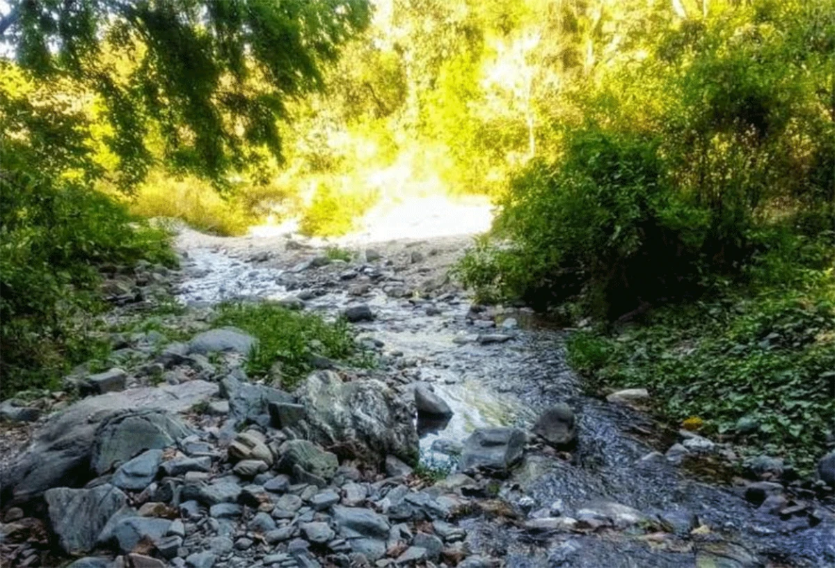 Apuran una obra para mejorar la provisión de agua potable en El Corte