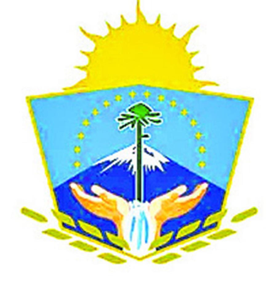 ¿Para qué sirven y qué representan los escudos?